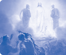 The Transfiguration