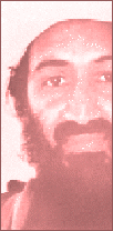 bin Laden=