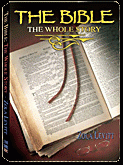 The Bible: The Whole Story
