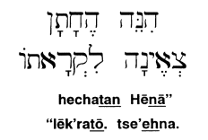 (hebrew)