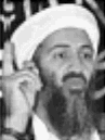 Osama bin Laden