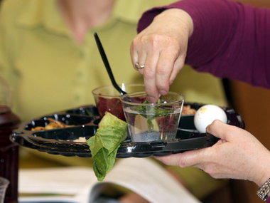 4-18-11 passover seder
