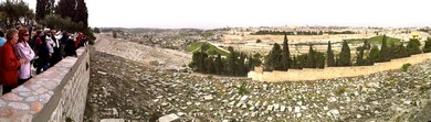 4-7-12 pic mt of olives