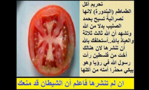 pic Salafist-group-warns-tomatoes-blog