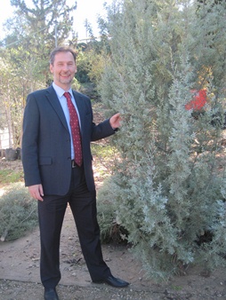Vadim Pankov with chosen Christmas tree. Photo: Yoav Devir