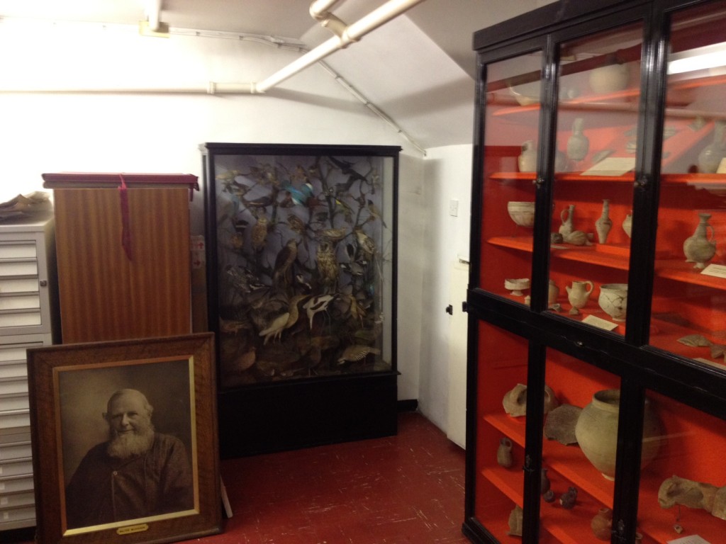 In the basement (from left), a portrait of a Victorian benefactor, a collection of birds, and artifacts from Flinders Petrie’s 1890 dig at Tell el-Hesy (Matti Friedman/Times of Israel)