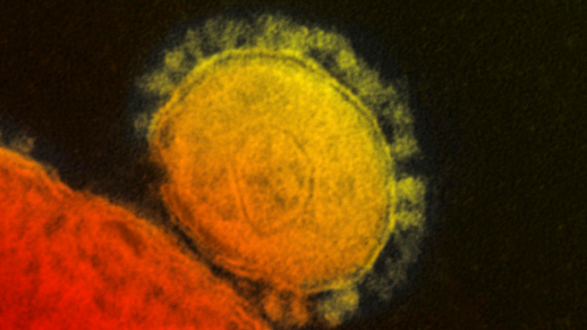 Reuters The Middle East Respiratory Syndrome (MERS) coronavirus is seen in an undated transmission electron micrograph from the National Institute for Allergy and Infectious Diseases