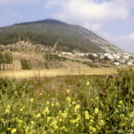 Mount Tabor