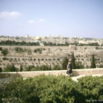 The Temple Mount from the Mount of Olives